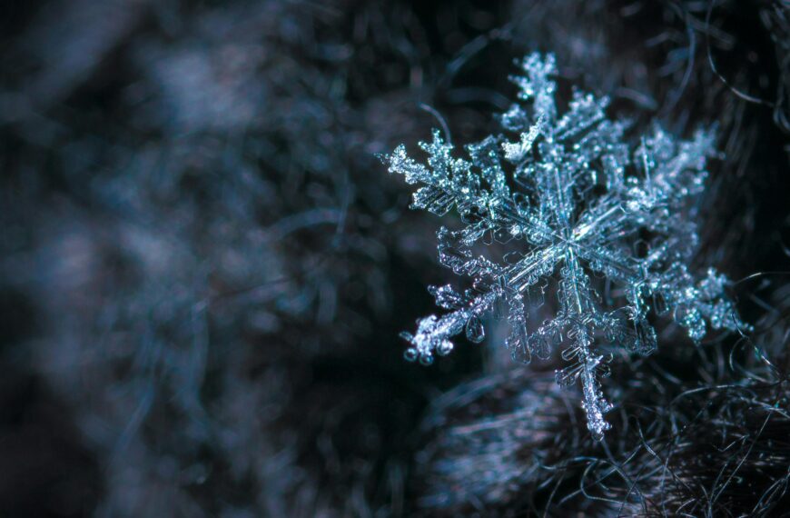 Intricate close-up of a snowflake showcasing its frosty crystalline structure in a winter setting.